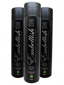 Embellish Revive Protein Treatment